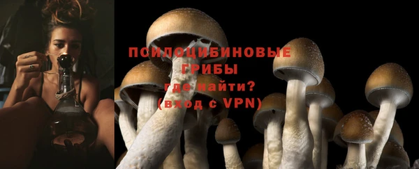 прущие крисы Карталы