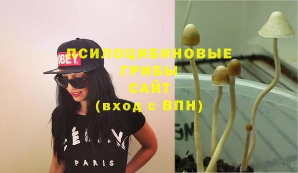 прущие крисы Карталы
