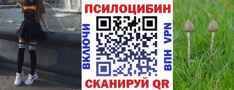 Купить  Шарья  Галлюциногенные грибы прущие грибы 